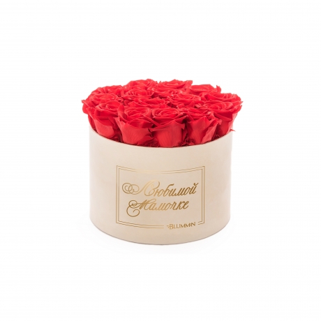 -20% ЛЮБИМОЙ МАМОЧКЕ - LARGE (17 ROSES) NUDE VELVET BOX WITH VIBRANT RED ROSES