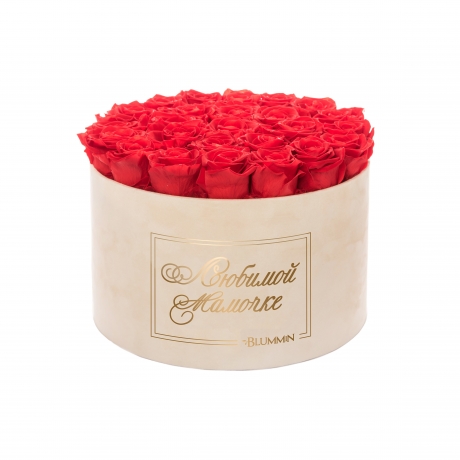 -20% ЛЮБИМОЙ МАМОЧКЕ - EXTRA LARGE NUDE VELVET BOX WITH VIBRANT RED ROSES