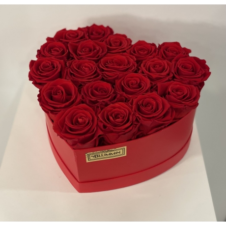 RED FLOWERBOX WITH 19 VIBRANT RED ROSES