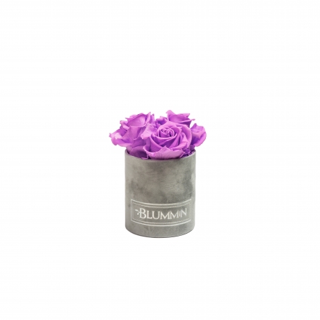 XS LIGHT GREY VELVET BOX WITH VIOLET VAIN ROSES