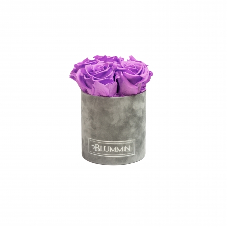 MIDI LIGHT GREY VELVET BOX WITH VIOLET VAIN ROSES