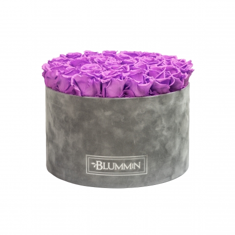 EXTRA LARGE LIGHT GREY VELVET BOX WITH VIOLET VAIN ROSES