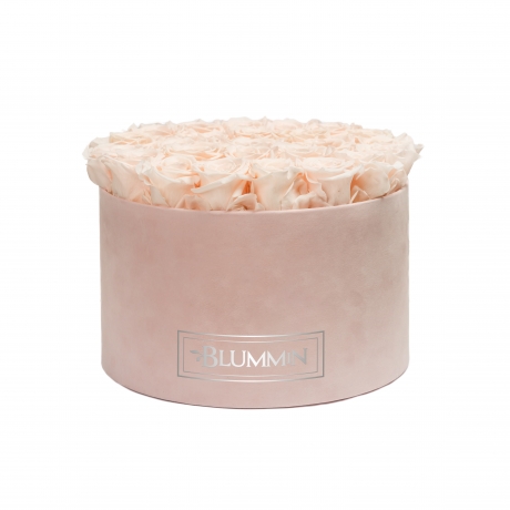 EXTRA LARGE BLUMMiN - HELEROOSA SAMETKARP ICE PINK ROOSIDEGA