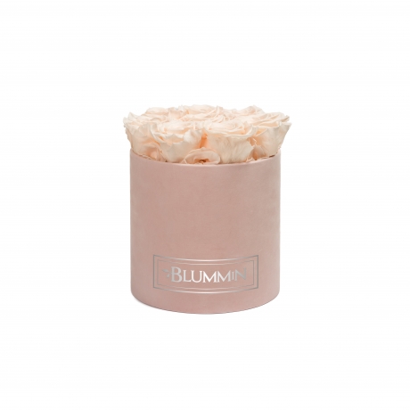 MEDIUM BLUMMiN - HELEROOSA SAMETKARP ICE PINK ROOSIDEGA