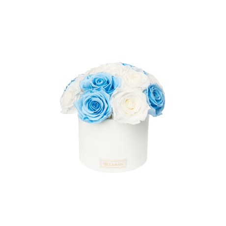 BOUQUET WITH 11 ROSES - WHITE CERAMIC POT WITH  WHITE & BABY BLUE ROSES
