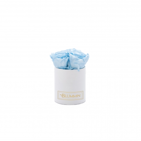 XS BLUMMiN - WHITE BOX WITH BABY BLUE ROSES