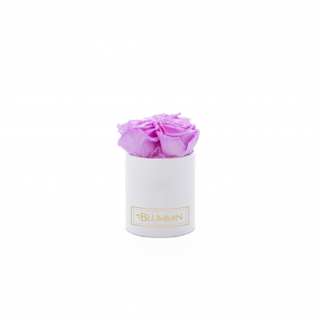 XS WHITE BOX WITH BABY LILLY ROSES