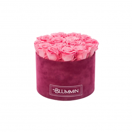 LARGE BLUMMIN FUCHSIA VELVET BOX WITH BABY PINK ROSES