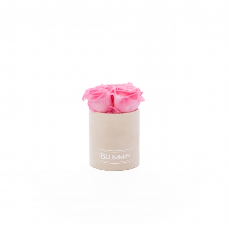 XS BLUMMiN - nude sametkarp BABY PINK roosidega