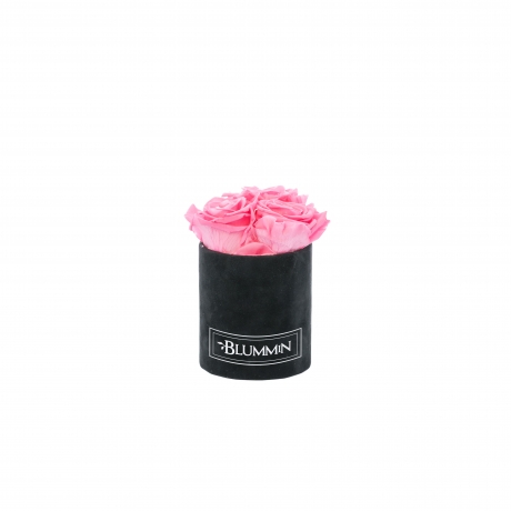 XS BLUMMiN - BLACK VELVET BOX WITH BABY PINK ROSES
