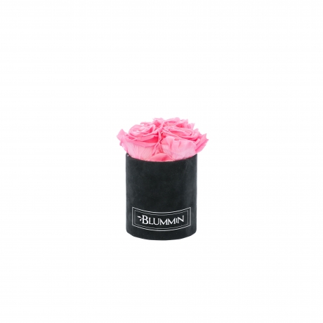 XS BLUMMIN - BLACK VELVET BOX WITH BABY PINK ROSES