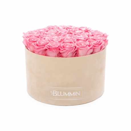 EXTRA LARGE BLUMMiN - nude sametkarp BABY PINK uinuvate roosidega