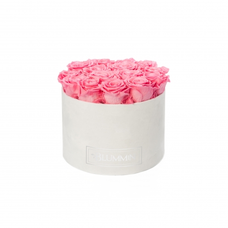 LARGE BLUMMiN - valge sametkarp BABY PINK uinuvate roosidega