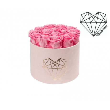 LARGE LOVE- HELEROOSA SAMETKARP BABY PINK ROOSIDEGA
