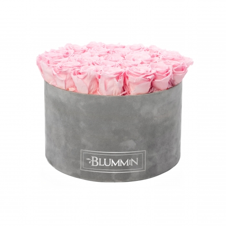 XL BLUMMiN - VELVET LIGHT GREY BOX WITH BRIDAL PINK ROSES