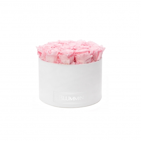 LARGE BLUMMIN - WHITE VELVET BOX WITH BRIDAL PINK ROSES