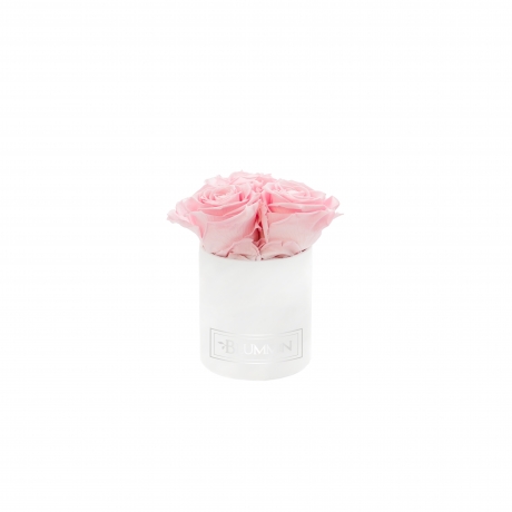 XS BLUMMIN - WHITE VELVET BOX WITH BRIDAL PINK ROSES