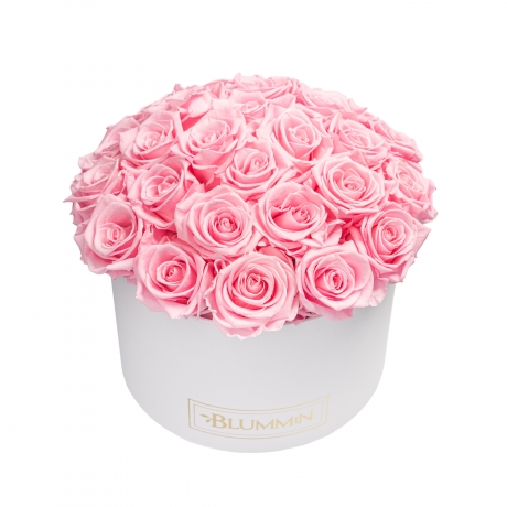  BOUQUET WITH 25 ROSES - LARGE WHITE BOX WITH BRIDAL PINK ROSES