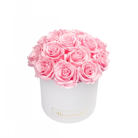  BOUQUET WITH 15 ROSES - MEDIUM WHITE BOX WITH BRIDAL PINK ROSES