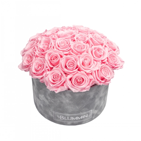 BOUQUET WITH 25 ROSES - LARGE BLUMMIN LIGHT GREY VELVET BOX WITH BRIDAL PINK ROSES