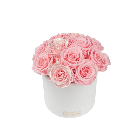 BOUQUET WITH 11 ROSES - WHITE CERAMIC POT WITH  BRIDAL PINK & PEARL PINK ROSES