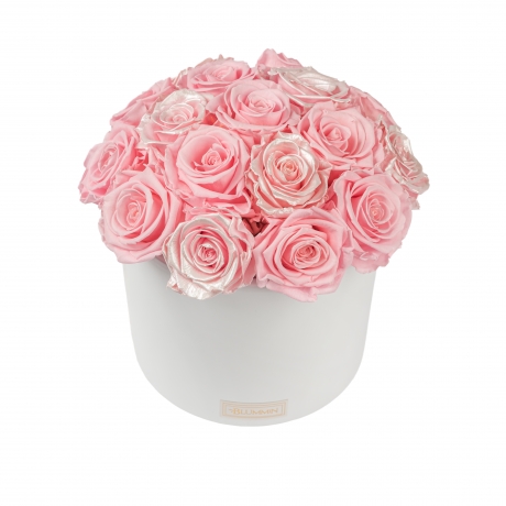 BOUQUET WITH 17 ROSES -WHITE CERAMIC POT WITH  BRIDAL PINK & PEARL PINK ROSES
