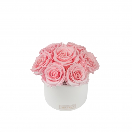 BOUQUET WITH 7 ROSES - WHITE CERAMIC POT WITH  BRIDAL PINK ROSES