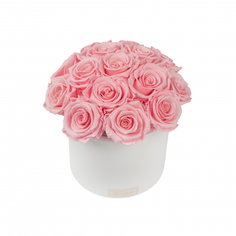 BOUQUET WITH 15 ROSES - WHITE CERAMIC POT WITH BRIDAL PINK ROSES