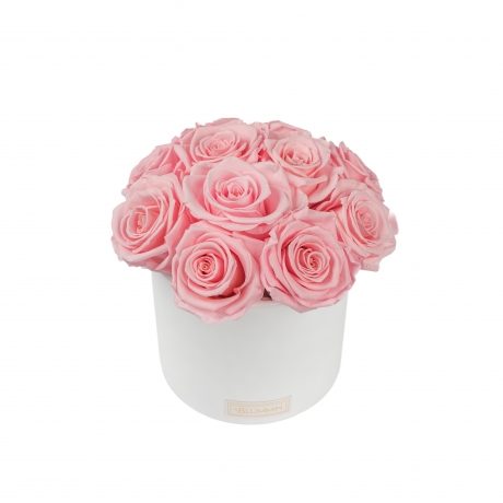 BOUQUET WITH 11 ROSES - WHITE CERAMIC POT WITH BRIDAL PINK ROSES