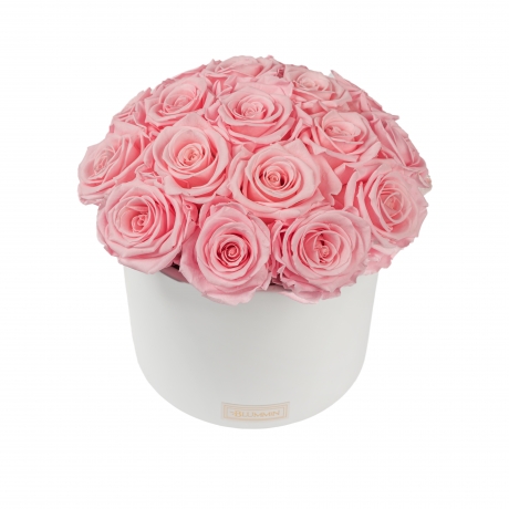 BOUQUET WITH 17 ROSES - WHITE CERAMIC POT WITH BRIDAL PINK ROSES