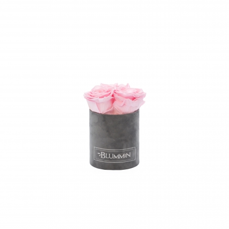 XS BLUMMIN - DARK GREY VELVET BOX WITH BRIDAL PINK ROSES