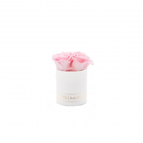 XS BLUMMiN - WHITE BOX WITH BRIDAL PINK ROSES