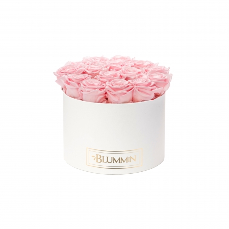 LARGE BLUMMIN - WHITE BOX WITH BRIDAL PINK ROSES