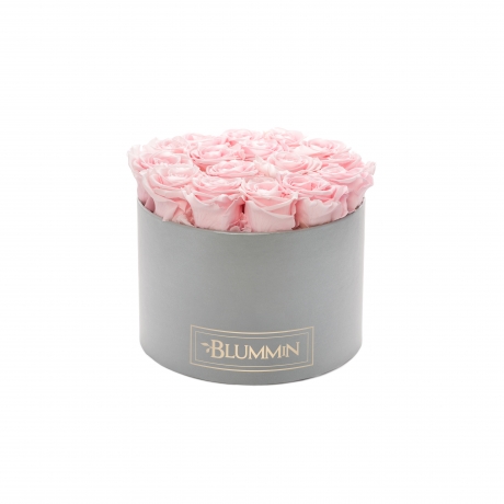 LARGE BLUMMiN - helehall karp BRIDAL PINK roosidega