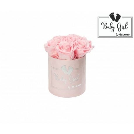 BABY GIRL - PINK VELVET BOX WITH 5 BRIDAL ROSES