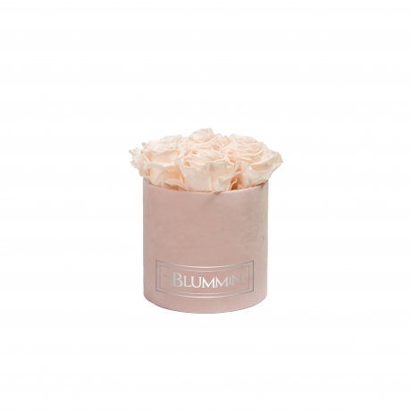 SMALL BLUMMiN - HELEROOSA SAMETKARP ICE PINK ROOSIDEGA