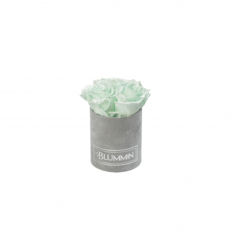 XS BLUMMIN - LIGHT GREY VELVET BOX WITH MINT ROSES