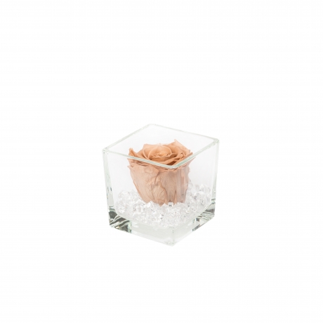 -20% GLASS VASE WITH CAPPUCCINO ROSE AND CRYSTALS (8x8 cm)