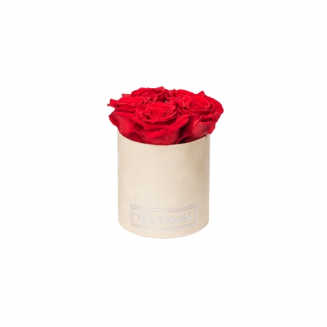 BLUMMIN MIDI NUDE VELVET BOX WITH 5 VIBRANT RED ROSES