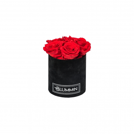 BLUMMIN MIDI BLACK VELVET BOX WITH 5 VIBRANT RED ROSES