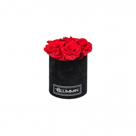 MIDI BLACK VELVET BOX WITH VIBRANT RED ROSES