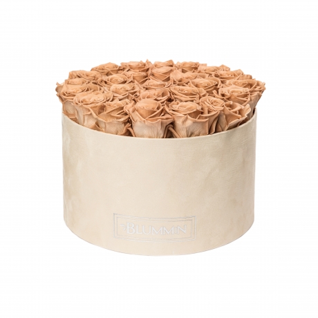 EXTRA LARGE NUDE VELVET BOX WITH CAPPUCCINO ROSES