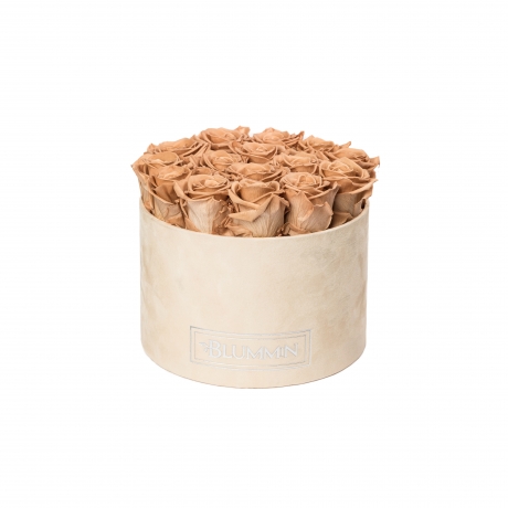 LARGE NUDE VELVET BOX WITH CAPPUCCINO ROSES