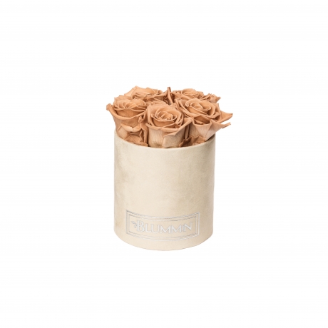 -20% MIDI NUDE VELVET BOX WITH CAPPUCCINO ROSES