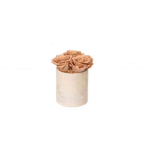 -20% XS NUDE VELVET BOX WITH CAPPUCCINO ROSES