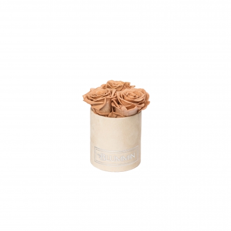 XS BLUMMiN - NUDE VELVET BOX WITH CAPPUCCINO ROSES