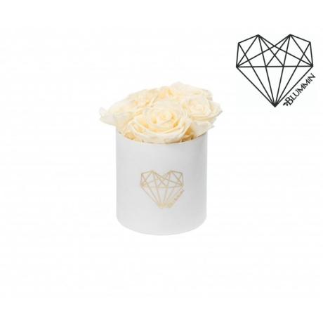 MIDI LOVE - WHITE VELVET BOX WITH CHAMPAGNE ROSES