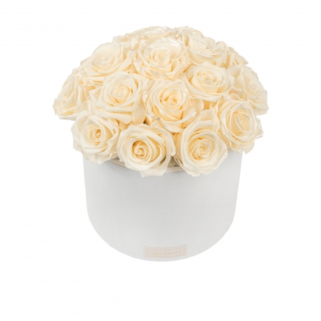 BOUQUET WITH 17 ROSES - WHITE CERAMIC POT WITH CHAMPAGNE ROSES