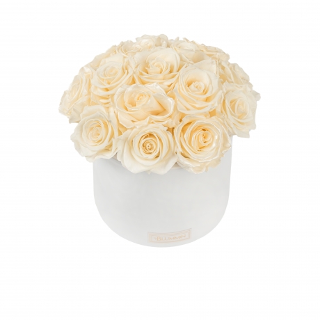 BOUQUET WITH 15 ROSES - WHITE CERAMIC POT WITH CHAMPAGNE ROSES