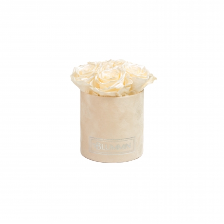 MIDI BLUMMiN - NUDE VELVET BOX WITH CHAMPAGNE ROSES
